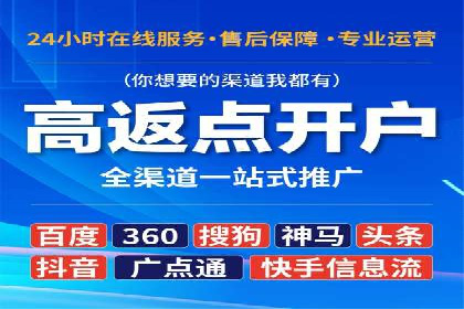搜索引擎竞价推广实战：行业领先企业的成功秘诀